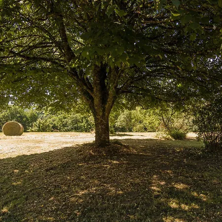 Le Petit Gaulejac بيت للعطل Auriac-du-Périgord